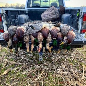 Meet your Posher, Gage